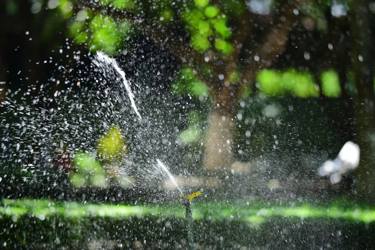 Planting & irrigation
